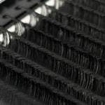 The Softest Lashes You'll Ever Fan — Mega Volume Matte Cashmere .03 | CC & D Curl | 16 Row Mixed Lengths