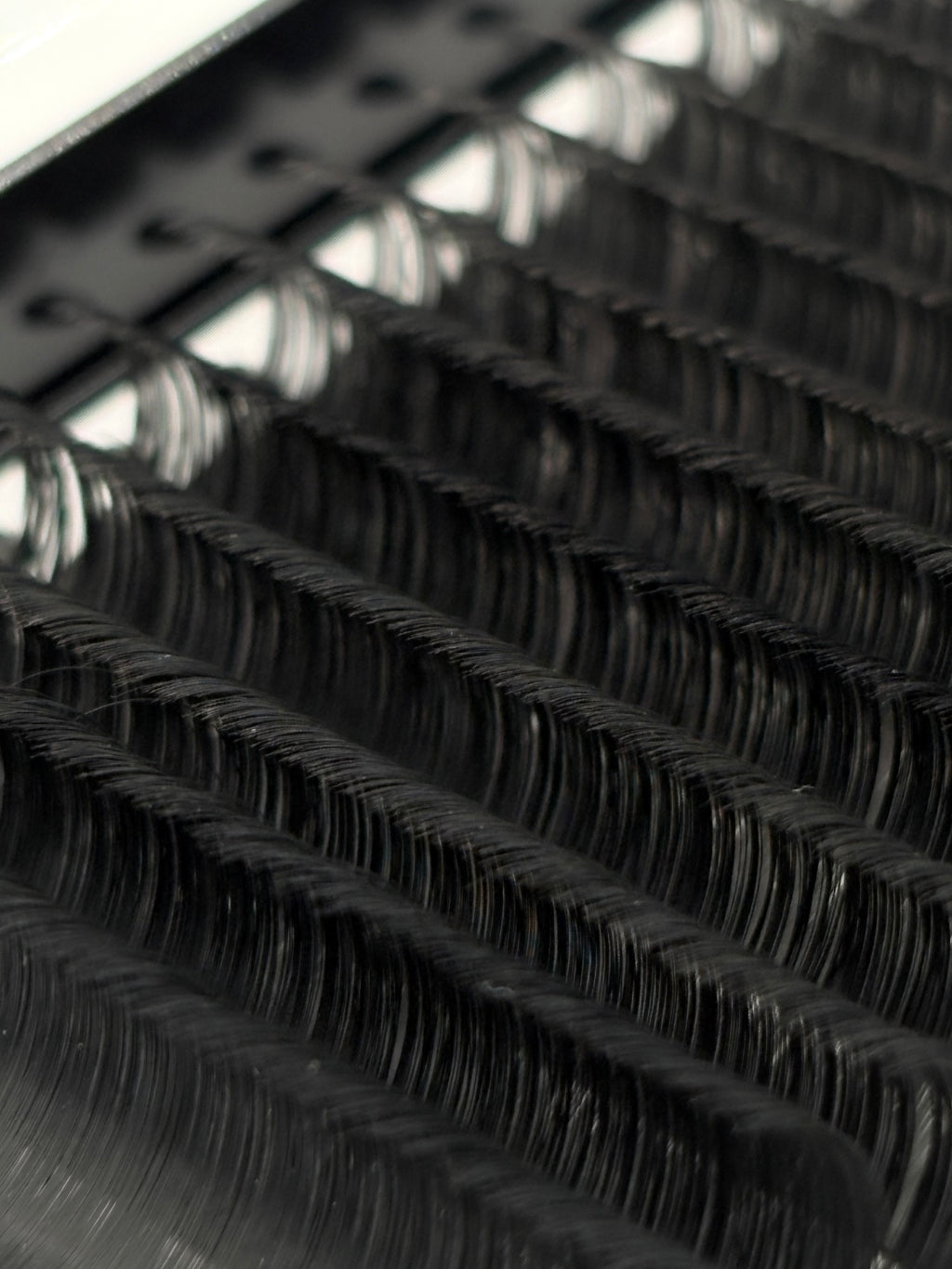 The Softest Lashes You'll Ever Fan — Mega Volume Matte Cashmere .03 | CC & D Curl | 16 Row Mixed Lengths